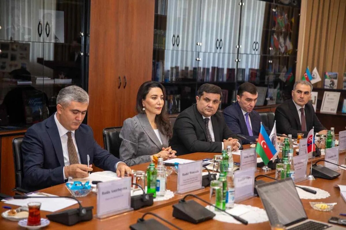 Azerbaijani, Slovak human rights commissioners discuss cooperation