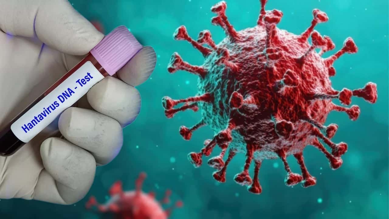 İspaniyada virusla bağlı yeni epidemioloji hal qeydə alınıb